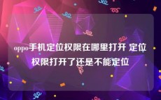 oppo手机定位权限在哪里打开 定位权限打开了还是不能定位
