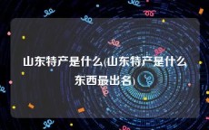 山东特产是什么(山东特产是什么东西最出名)