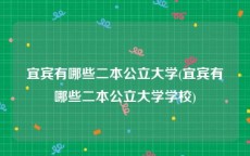 宜宾有哪些二本公立大学(宜宾有哪些二本公立大学学校)