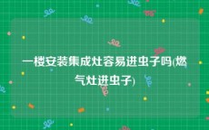 一楼安装集成灶容易进虫子吗(燃气灶进虫子)