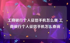 工商银行个人征信手机怎么查 工商银行个人征信手机怎么查询