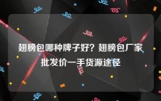 翅膀包哪种牌子好？翅膀包厂家批发价一手货源途径