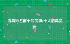 洁具排名前十的品牌(十大洁具品牌)