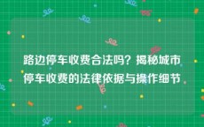 路边停车收费合法吗？揭秘城市停车收费的法律依据与操作细节