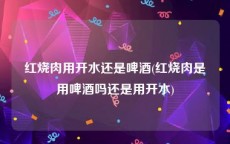 红烧肉用开水还是啤酒(红烧肉是用啤酒吗还是用开水)