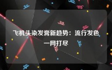 飞机头染发膏新趋势：流行发色一网打尽