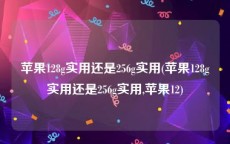苹果128g实用还是256g实用(苹果128g实用还是256g实用,苹果12)
