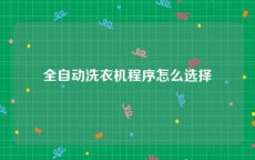 全自动洗衣机程序怎么选择