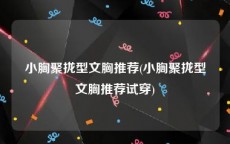 小胸聚拢型文胸推荐(小胸聚拢型文胸推荐试穿)