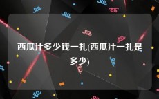 西瓜汁多少钱一扎(西瓜汁一扎是多少)