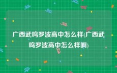 广西武鸣罗波高中怎么样(广西武鸣罗波高中怎么样啊)
