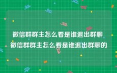 微信群群主怎么看是谁退出群聊 微信群群主怎么看是谁退出群聊的