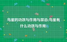 鸟蛋的功效与作用与禁忌(鸟蛋有什么功效与作用)