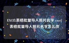 EXCEL表格批量导入照片名字 excel表格批量导入照片名字怎么改