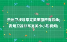 贵州卫视非常完美里面所有歌曲(贵州卫视非常完美小小如视频)