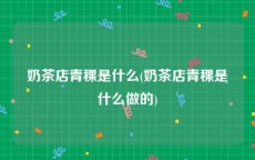 奶茶店青稞是什么(奶茶店青稞是什么做的)