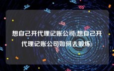 想自己开代理记账公司(想自己开代理记账公司如何去锻炼)