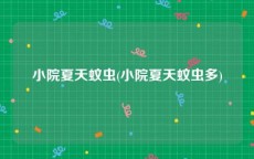 小院夏天蚊虫(小院夏天蚊虫多)