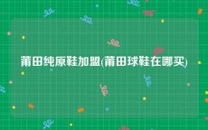 莆田纯原鞋加盟(莆田球鞋在哪买)