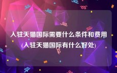入驻天猫国际需要什么条件和费用(入驻天猫国际有什么好处)