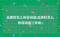 品质好怎么形容词语(品质好怎么形容词语三年级)