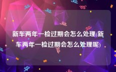 新车两年一检过期会怎么处理(新车两年一检过期会怎么处理呢)