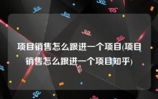 项目销售怎么跟进一个项目(项目销售怎么跟进一个项目知乎)