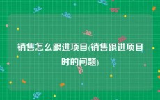 销售怎么跟进项目(销售跟进项目时的问题)