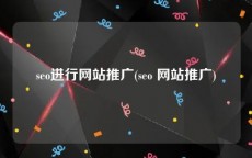 seo进行网站推广(seo 网站推广)