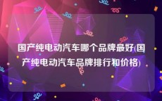 国产纯电动汽车哪个品牌最好(国产纯电动汽车品牌排行和价格)