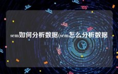 sem如何分析数据(sem怎么分析数据)