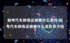 报考汽车教练证需要什么条件(报考汽车教练证需要什么条件多少钱)