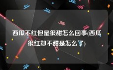 西瓜不红但是很甜怎么回事(西瓜很红却不甜是怎么了)