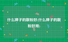 什么牌子的散粉好(什么牌子的散粉好用)