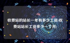 收费站的站长一年有多少工资(收费站站长工资多少一个月)