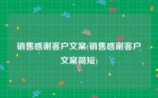 销售感谢客户文案(销售感谢客户文案简短)
