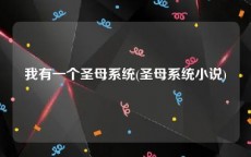 我有一个圣母系统(圣母系统小说)