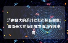济南最大的茶叶批发市场在哪里(济南最大的茶叶批发市场在哪里啊)