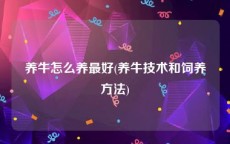 养牛怎么养最好(养牛技术和饲养方法)