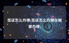 签证怎么办理(签证怎么办理在哪里办理)