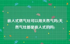 嵌入式燃气灶可以用天然气吗(天然气灶都是嵌入式的吗)