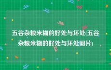 五谷杂粮米糊的好处与坏处(五谷杂粮米糊的好处与坏处图片)