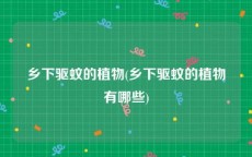 乡下驱蚊的植物(乡下驱蚊的植物有哪些)