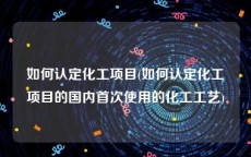 如何认定化工项目(如何认定化工项目的国内首次使用的化工工艺)