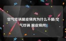 空气炸锅脆皮烧肉为什么不脆(空气炸锅 脆皮烧肉)