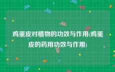 鸡蛋皮对植物的功效与作用(鸡蛋皮的药用功效与作用)
