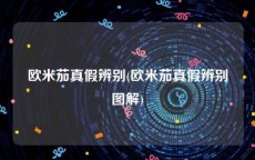 欧米茄真假辨别(欧米茄真假辨别图解)