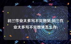 初三作业太多写不完想哭(初三作业太多写不完想哭怎么办)