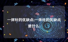 一体灶的优缺点(一体灶的优缺点是什么)