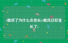 t恤洗了为什么会变长(t恤洗过后变长了)